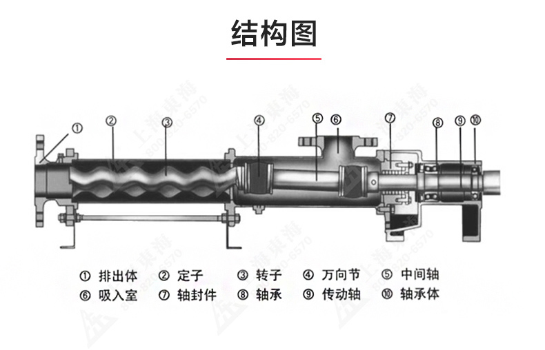 G型螺杆星空中国_星空在线登录结构图.jpg